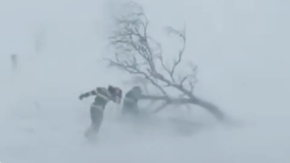 СЭРЭМЖЛҮҮЛЭГ: Цасан шуурга шуурч, ихэнх нутгаар 10-20 градусаар эрс хүйтрэхийг онцгойлон анхааруулж байна